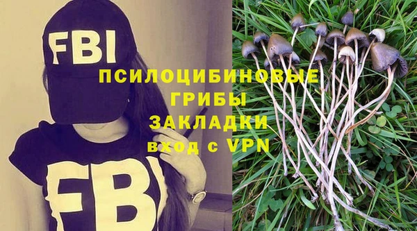 хмурый Балахна