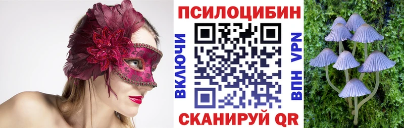 Галлюциногенные грибы Psilocybine cubensis  наркошоп  даркнет Telegram  Чехов 